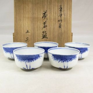 G644: Chinese Old Blue - And - White Porcelain 5 Tea Cups For Green Tea Sencha W/box