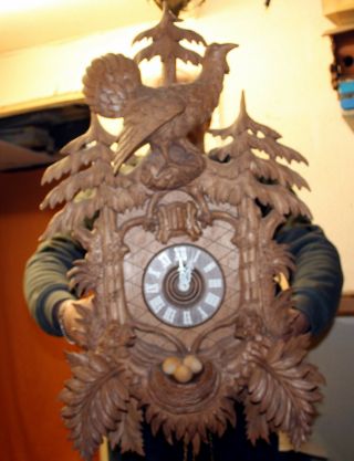 Majestic Old Cuckoo Wall Clock Black Forest Regula 7 Days Cuckoo,  Clock 81 Cm