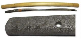 ◆long Wakizashi◆ (koto) - Bishyu Osafune Harumitsu - Saya Fantastic Hamon 52.  3cm