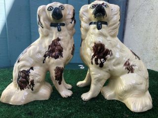 Stunning Pair Early 19thc Staffordshire Spaniel Dogs: Separate Front Legs C1820s