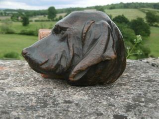 19thc Black Forest Oak Carved Bloodhound Dog Head C.  1870 