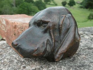 19thc BLACK FOREST OAK CARVED BLOODHOUND DOG HEAD C.  1870 ' s 3