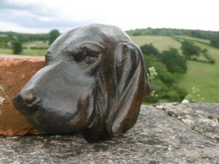 19thc BLACK FOREST OAK CARVED BLOODHOUND DOG HEAD C.  1870 ' s 5