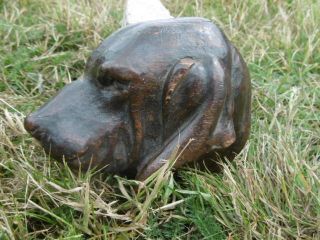 19thc BLACK FOREST OAK CARVED BLOODHOUND DOG HEAD C.  1870 ' s 8