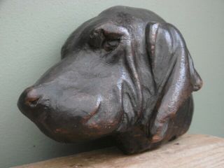 19thc BLACK FOREST OAK CARVED BLOODHOUND DOG HEAD C.  1870 ' s 9