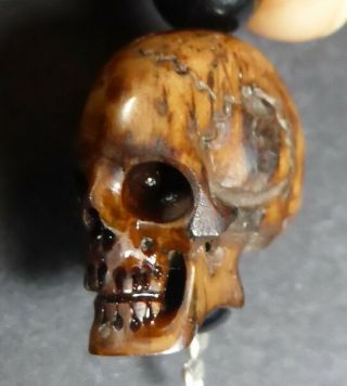 RARE TIBETAN LlAMA (Lama Glama) BONE HUMAN SKULL BEAD BLESSED on SILK CORD 5