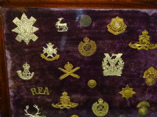 WWI - WWII British Hat Cap Badge,  Helmet Plate,  Framed Display (236) 2