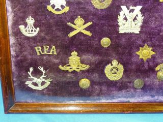 WWI - WWII British Hat Cap Badge,  Helmet Plate,  Framed Display (236) 5