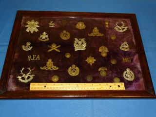 WWI - WWII British Hat Cap Badge,  Helmet Plate,  Framed Display (236) 6