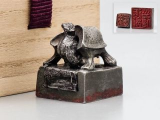 Chinese White Bronze Turtle Stamp Statue W 1.  9 × H 1.  9[cm]