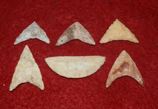 6 Quality Sahara Neolithic Triangular Tools,  Some Rare Form & Whitish Lithics