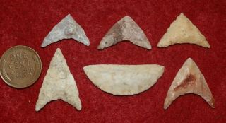 6 quality Sahara Neolithic triangular tools,  some rare form & whitish lithics 5