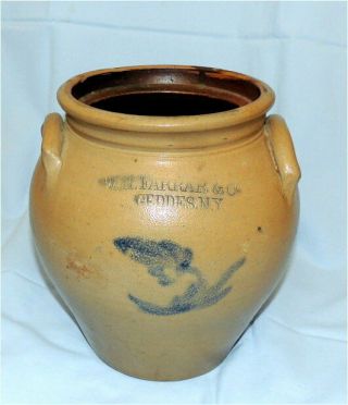 1 Gallon Antique Salt Glaze W.  H Farrar & Co Geddes Ny - Cobalt Stoneware Crock