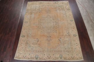 ANTIQUE Distressed Persian Area Rug Geometric PALE PEACH Muted Carpet Wool 9x12 2