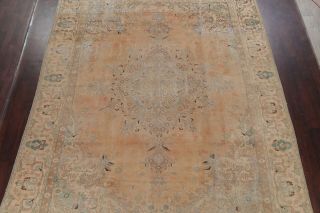 ANTIQUE Distressed Persian Area Rug Geometric PALE PEACH Muted Carpet Wool 9x12 3