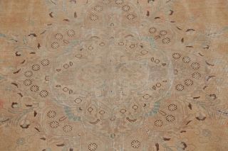 ANTIQUE Distressed Persian Area Rug Geometric PALE PEACH Muted Carpet Wool 9x12 6