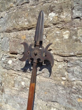 1750 - 90 Antique French Halberd Fleur - De - Lis Pole - Arm Spear Axe Pike No Sword