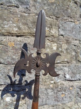 1750 - 90 ANTIQUE FRENCH HALBERD Fleur - de - lis POLE - ARM SPEAR AXE PIKE no sword 3