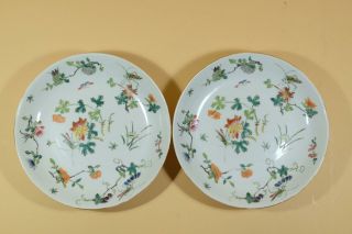 Pair Chinese Famille Rose Porcelain Dishes,  Marked.