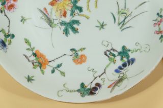 Pair Chinese Famille Rose Porcelain Dishes,  Marked. 4