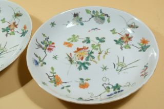 Pair Chinese Famille Rose Porcelain Dishes,  Marked. 5