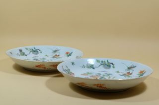 Pair Chinese Famille Rose Porcelain Dishes,  Marked. 8