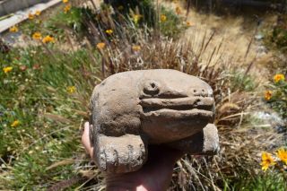 Anasazi Mescala Sinagua Pre Columbian Stone Frog