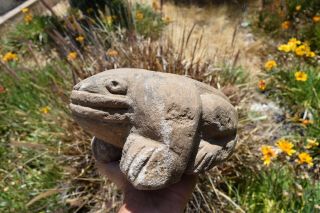 ANASAZI MESCALA SINAGUA pre columbian stone frog 2
