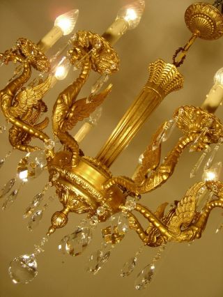 dangerous dragon crystal chandelier old gold ceiling lamp 8 light Lustre 6