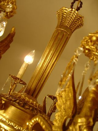 dangerous dragon crystal chandelier old gold ceiling lamp 8 light Lustre 7