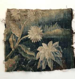 Great 21.  5” X 20.  5” 17th/18th Century Verdure Tapestry