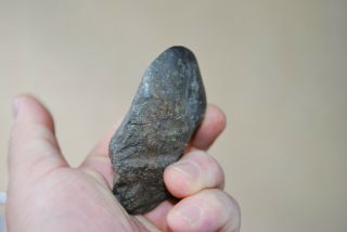 old Aboriginal stone hand axe with ground edge of considerable age 2