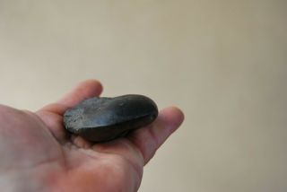 old Aboriginal stone hand axe with ground edge of considerable age 4