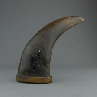 Antique American Colonial Buffalo Horn Scrimshaw Powder Flask,  Circa 1720. 2