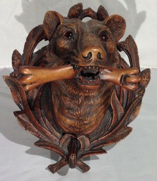 Antique German Black Forest carved wood wolf / dog head wall plaque / coat hook 2