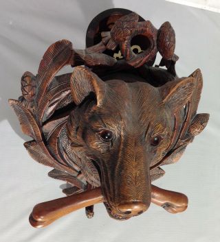 Antique German Black Forest carved wood wolf / dog head wall plaque / coat hook 3