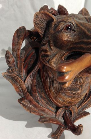 Antique German Black Forest carved wood wolf / dog head wall plaque / coat hook 4