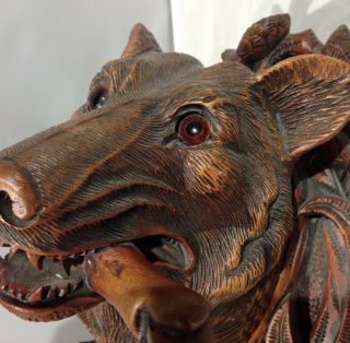 Antique German Black Forest carved wood wolf / dog head wall plaque / coat hook 6