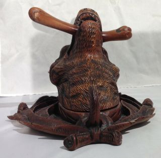 Antique German Black Forest carved wood wolf / dog head wall plaque / coat hook 8