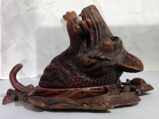 Antique German Black Forest carved wood wolf / dog head wall plaque / coat hook 9