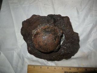 Port Royal,  Captain Henry Morgan’s Brig,  Coral Encrusted 3 Pound Cannonball,  1692
