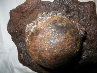 PORT ROYAL,  CAPTAIN HENRY MORGAN’S BRIG,  CORAL ENCRUSTED 3 POUND CANNONBALL,  1692 2