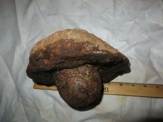 PORT ROYAL,  CAPTAIN HENRY MORGAN’S BRIG,  CORAL ENCRUSTED 3 POUND CANNONBALL,  1692 3