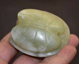 Rare Chinese " Hong Shan " Culture Old Jade Carved Turtle Shell (gua Jian) L 6.  0cm