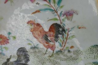 Fine Antique Chinese Famille Rose Porcelain Footed Rooster Bowl 2