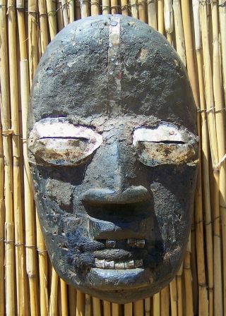 African Art Dan We Guere Mask With Metal Teeth From Liberia 10 " Tall