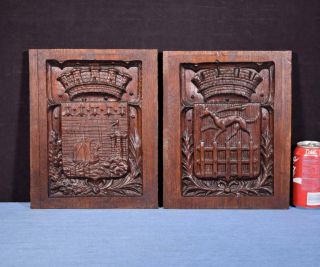 French Antique Gothic Revival Panels In Chestnut Wood Salvage