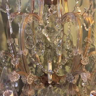 Outstanding vintage large restored crystal Maria Theresa chandelier 5