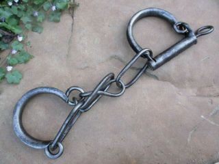 Antique Iron Horse / Cow Hobbles Hand Forged Hackles Chain Rare With Spring Key
