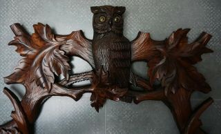 Antique Lrg.  Black Forest (33.  5) Mirror Frame W.  Owl